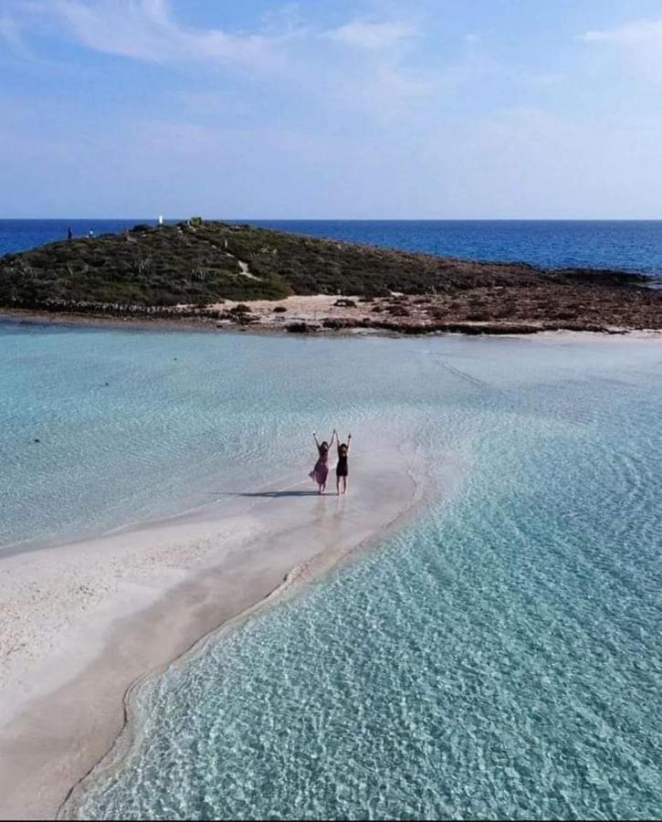 Nissi Golden Sands Sunny A1d4 Daire Aya Napa