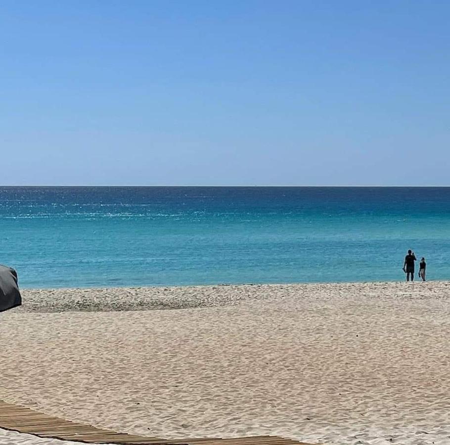 Nissi Golden Sands Sunny A1d4 Apartment